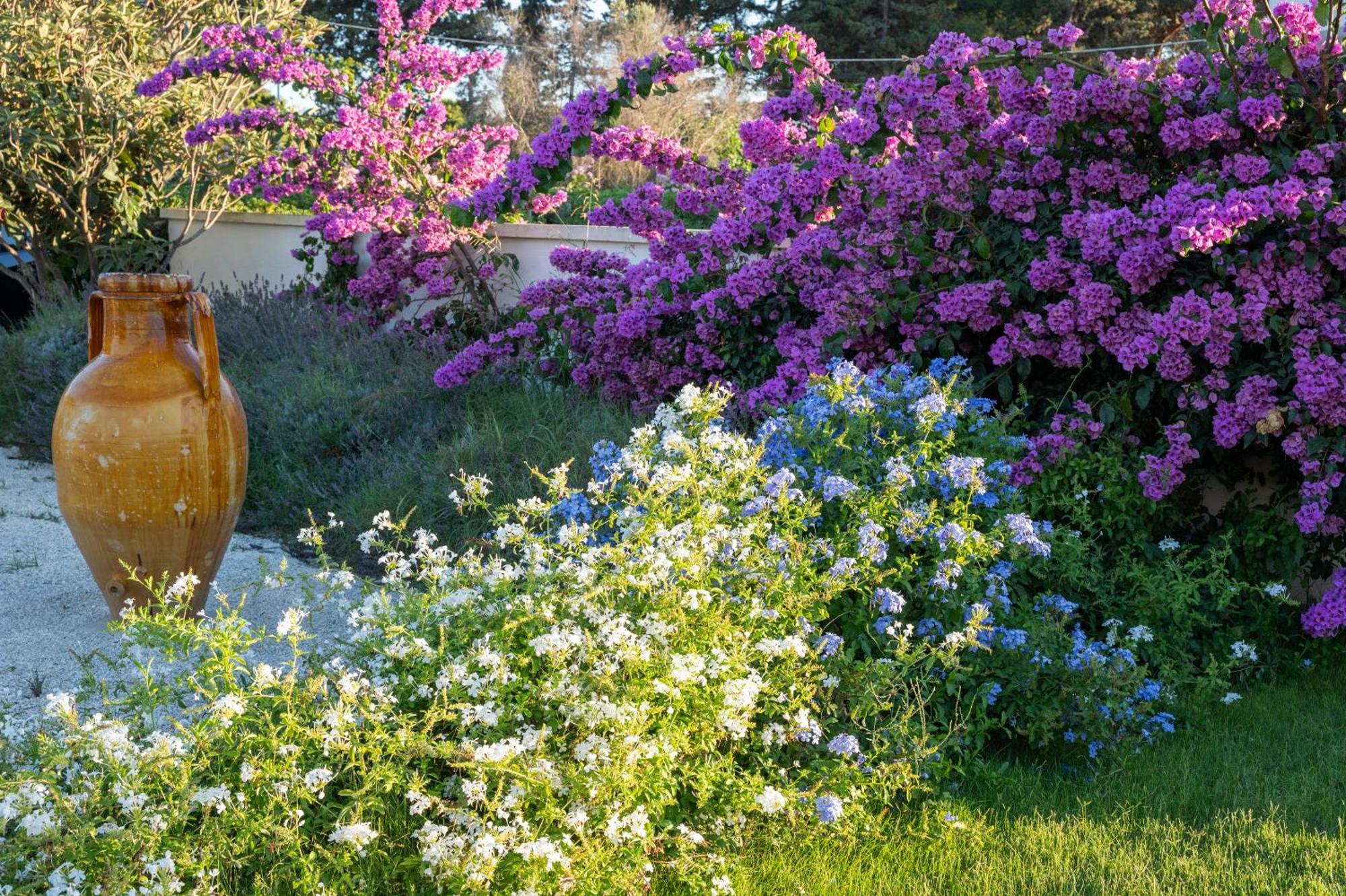 Livantea Agriresort E Residence Οτράντο Εξωτερικό φωτογραφία